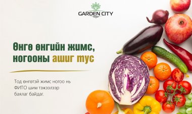 “ГЭРИЙН НӨХЦӨЛД ХҮНСНИЙ НОГОО ТАРИАЛЪЯ” АЯН ҮРГЭЛЖИЛЖ БАЙНА