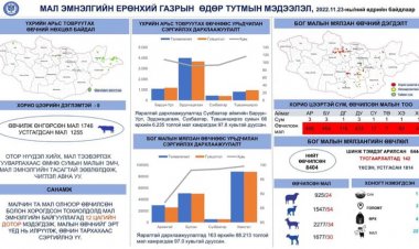 УЛСЫН ХЭМЖЭЭНД МАЛ АМЬТНЫ ГОЦ ХАЛДВАРТ ӨВЧНИЙ МЭДЭЭЛЭЛ