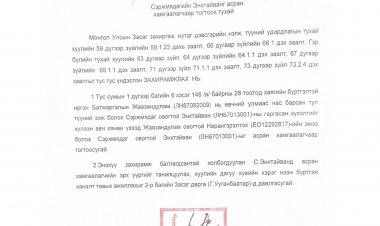 Сэржмядагийн Энхтайванг асран хамгаалагчаар тогтоох тухай