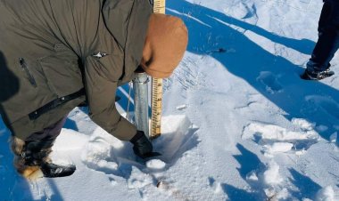 ӨВЛИЙН БЭЛЧЭЭРИЙН ЯВУУЛ СУДАЛГААНЫ АЖИГЛАЛТ