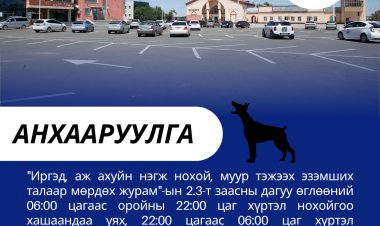 Гэрийн Тэжээвэр Амьтан Эзэмшигчдийн АНХААРАЛД!  Хариуцлагатай Иргэн - Аюулгүй Орчин