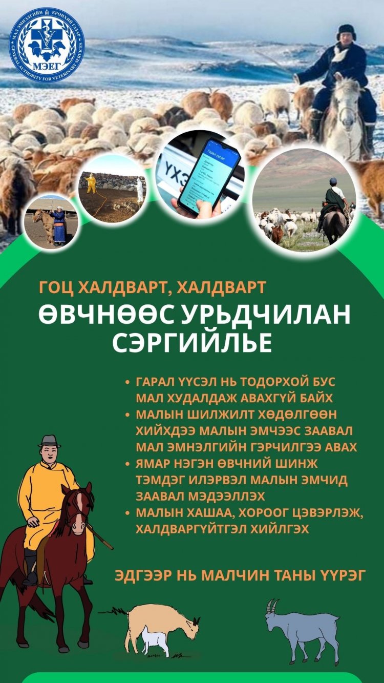 МАЛЧИД, ИРГЭДИЙН АНХААРАЛД