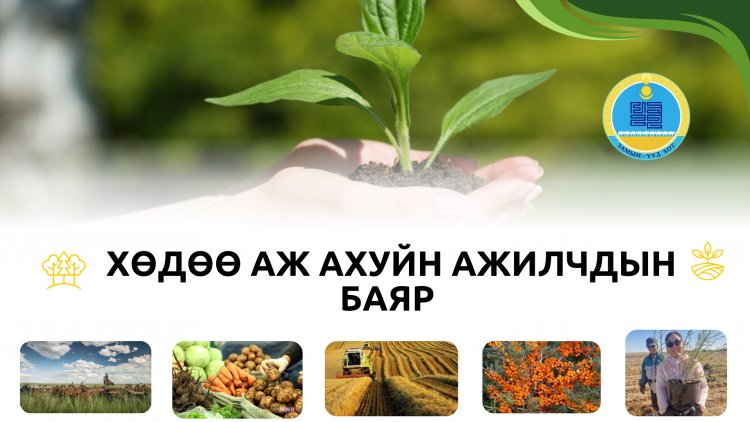 Монгол Улсын Засгийн газрын 2019 оны 204 дүгээр тогтоолын дагуу жил бүрийн 11 дүгээр сарын хоёр дахь Ням гарагт “Хөдөө аж ахуйн ажилтны өдөр”-ийг тэмдэглэн өнгөрүүлдэг уламжлалтай.