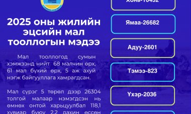 2025 ОНЫ ЖИЛИЙН ЭЦСИЙН МАЛ ТООЛЛОГЫН ДҮН МЭДЭЭ